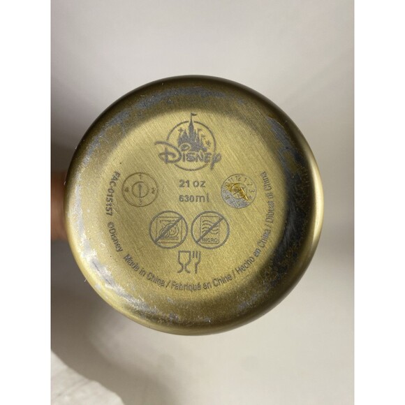 Disney Winnie the Pooh Stainless Steel Water Bottle Faces 21oz Gold Lid Rare - Picture 2 of 10